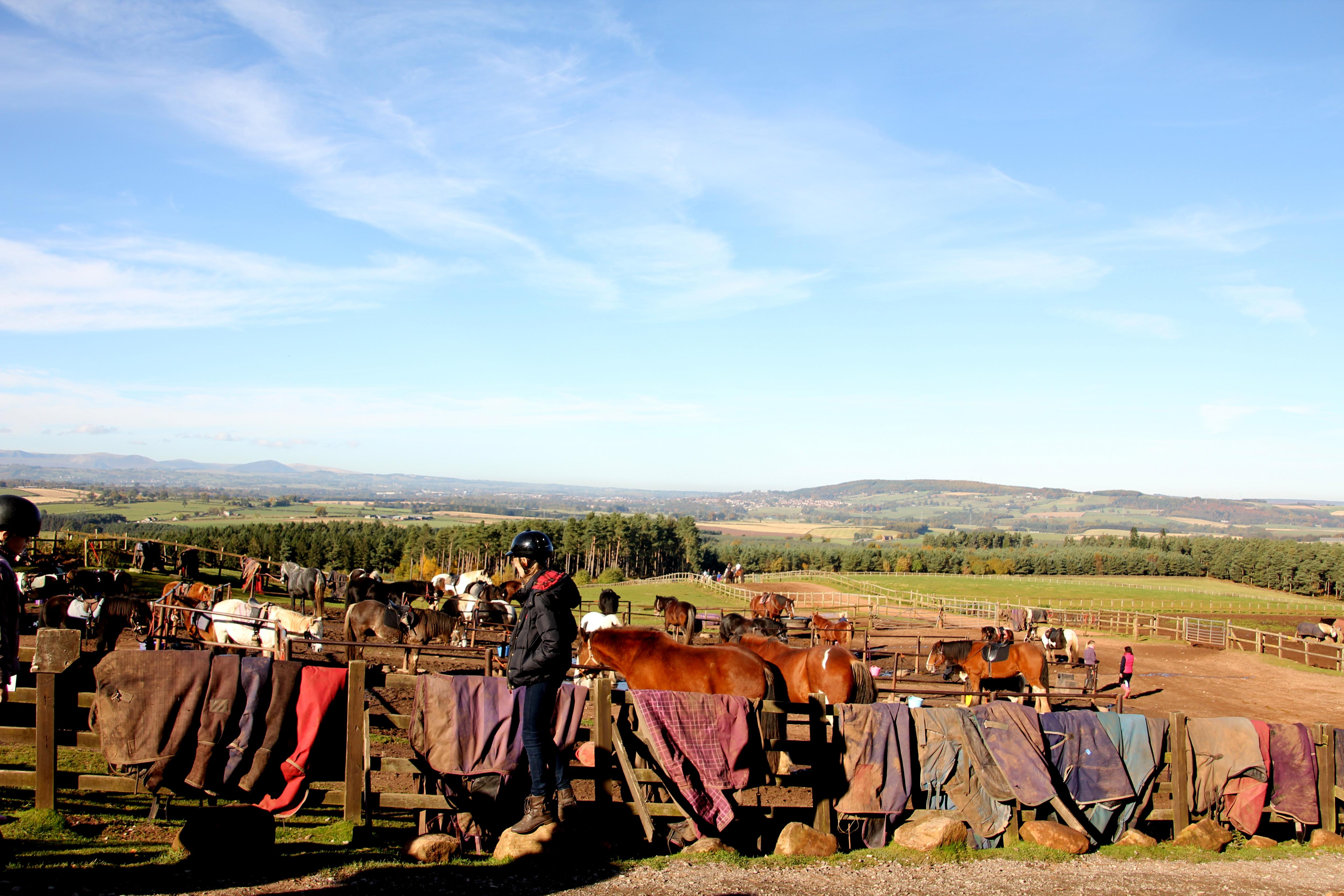 IMG 1484